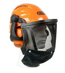 562413 Oregon Waipoua Helmet