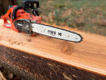 DCS-2500-10-KIT Echo DCS-2500 [BACK HANDLE] 10"[25cm] KIT [INCLUDES CHARGER/x2 BATTERIES/x3 CHAINS]