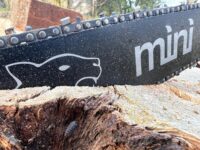 ** 10 PACK ** [BAR]10"[25cm] Panther Mini Husky T525, 535i XP, T535i XP, 536Li, T536Li XP, T540i XP 1/4 .043 56 drive links ** 10 PACK **